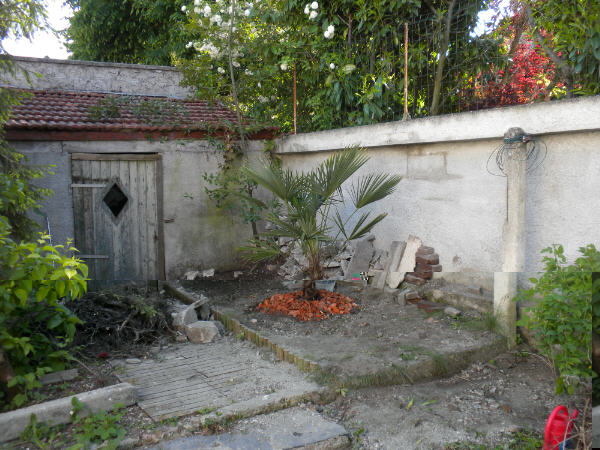 jour de la plantation.jpg