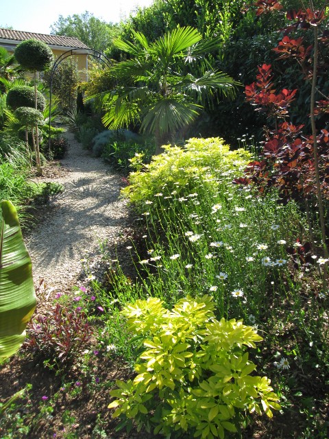 JARDIN MAI 2015 045 (480x640).jpg