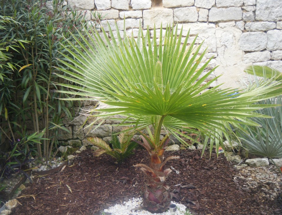 DSCF2603.JPG