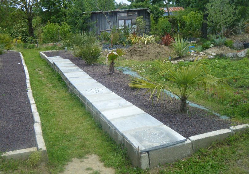DSCF2618.JPG