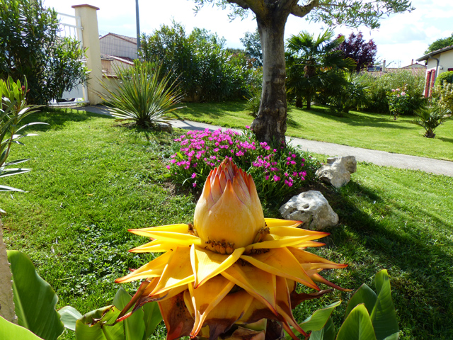 P1030678fh.jpg