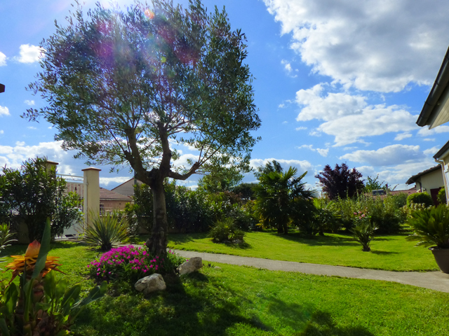 P1030688fh.jpg