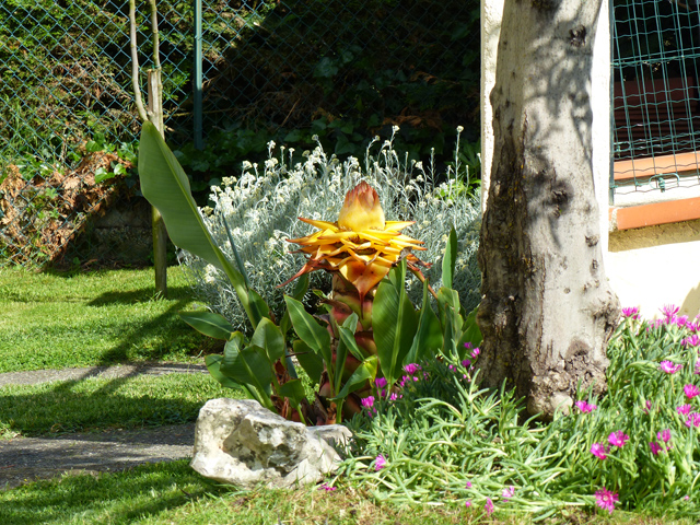 P1030693fh.jpg