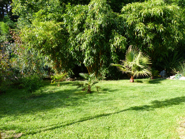 P1030695fh.jpg