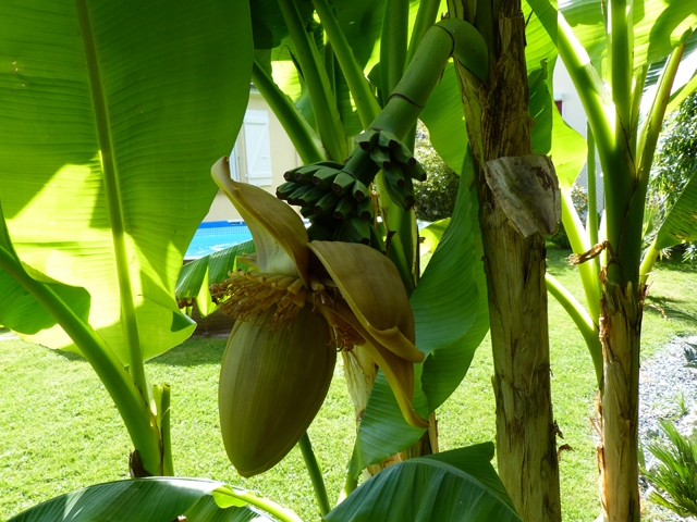 P1030698fh.jpg