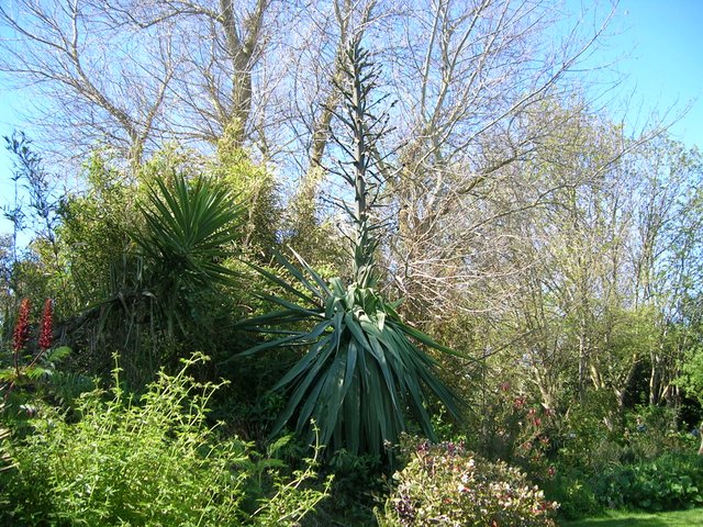 1-DSCN4109.JPG