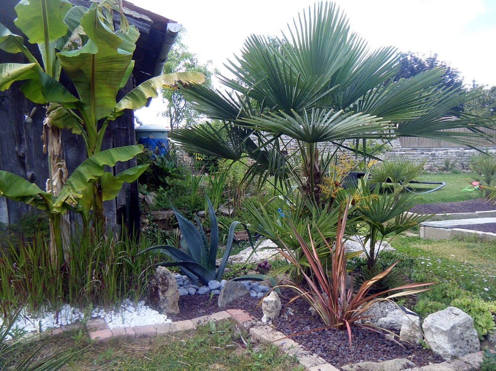 Derrière la terrasse.