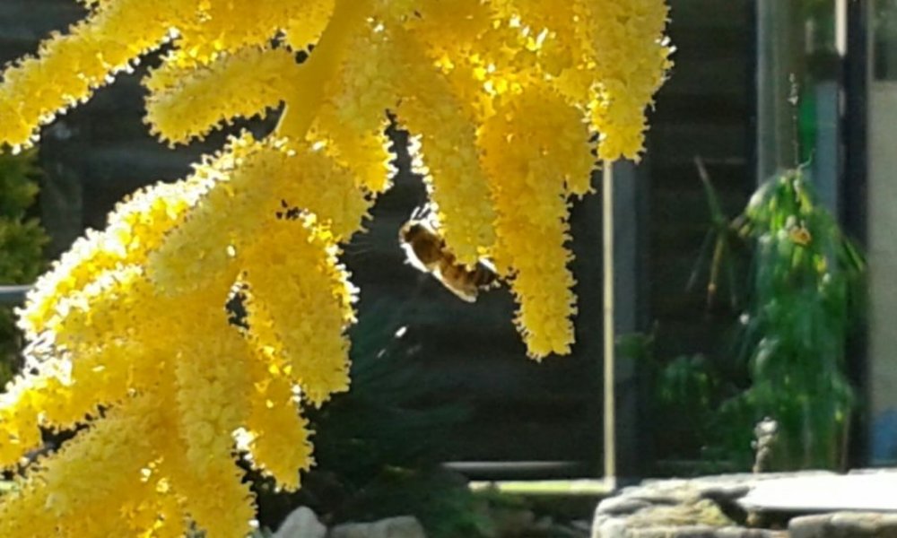 20150519_090540_resized.jpg