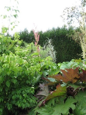 Photo 692.jpg