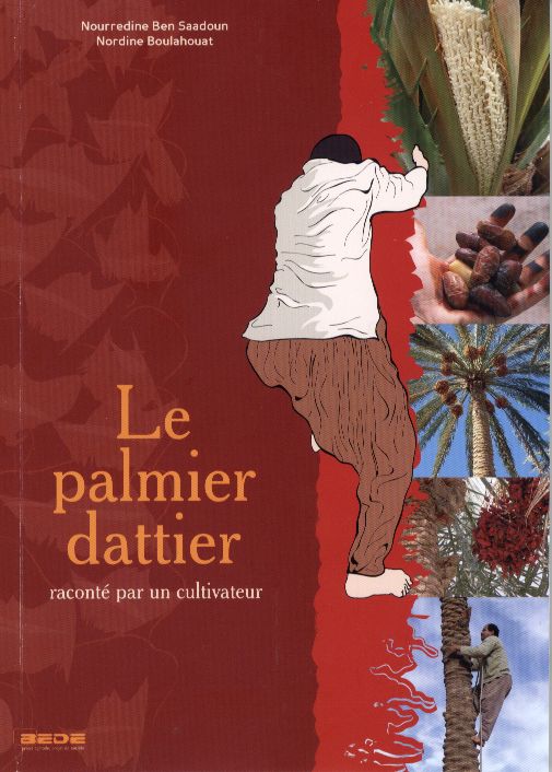 Le palmier dattier.jpeg