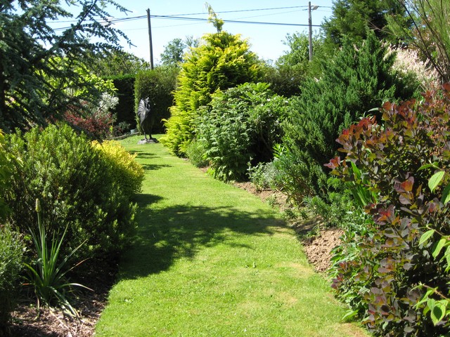 Photo 702.jpg