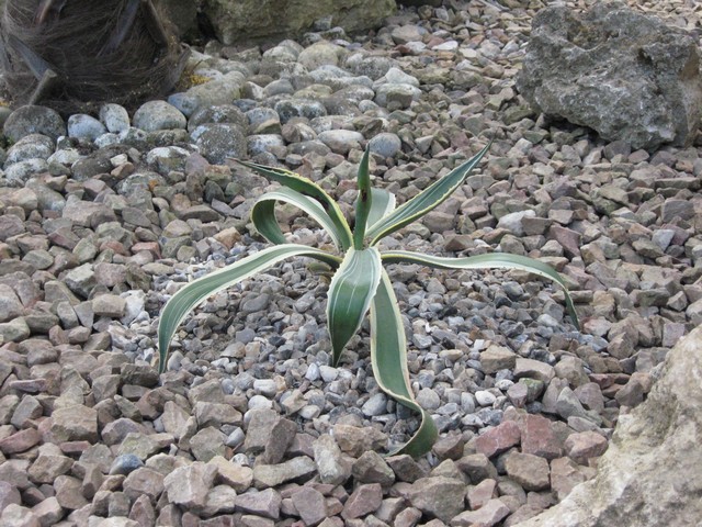 Photo 712.jpg