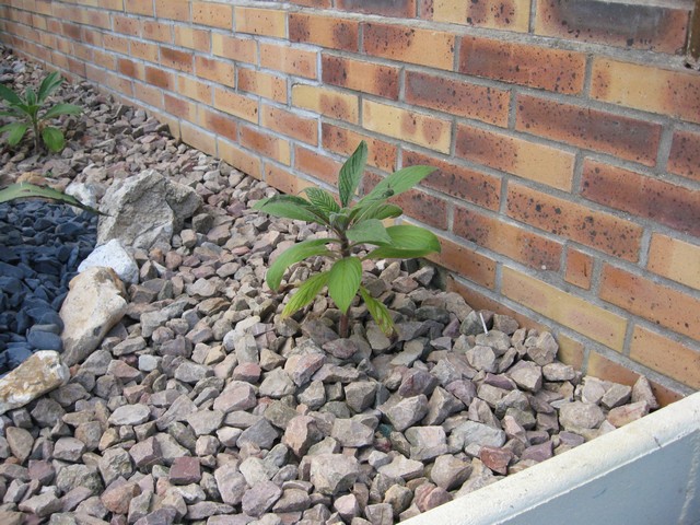 Photo 716.jpg