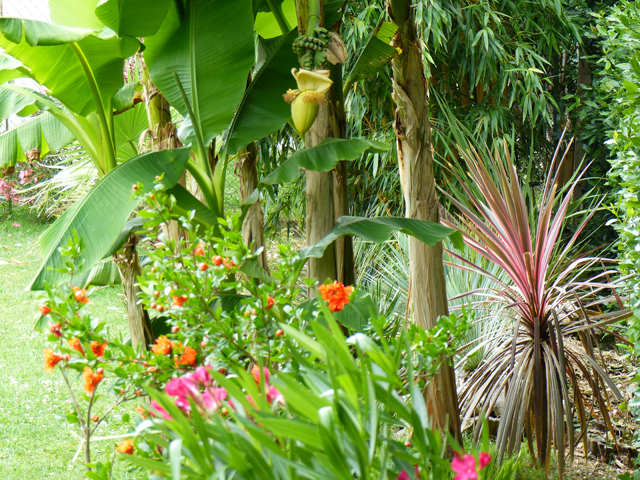 P1030961fh.jpg