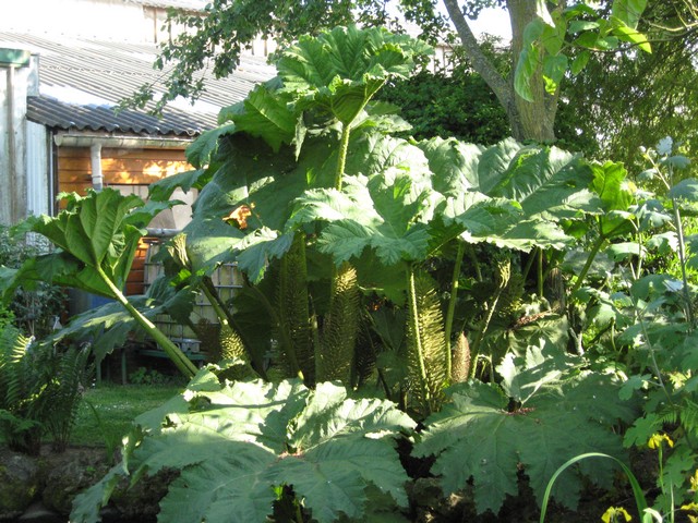 Photo 719.jpg