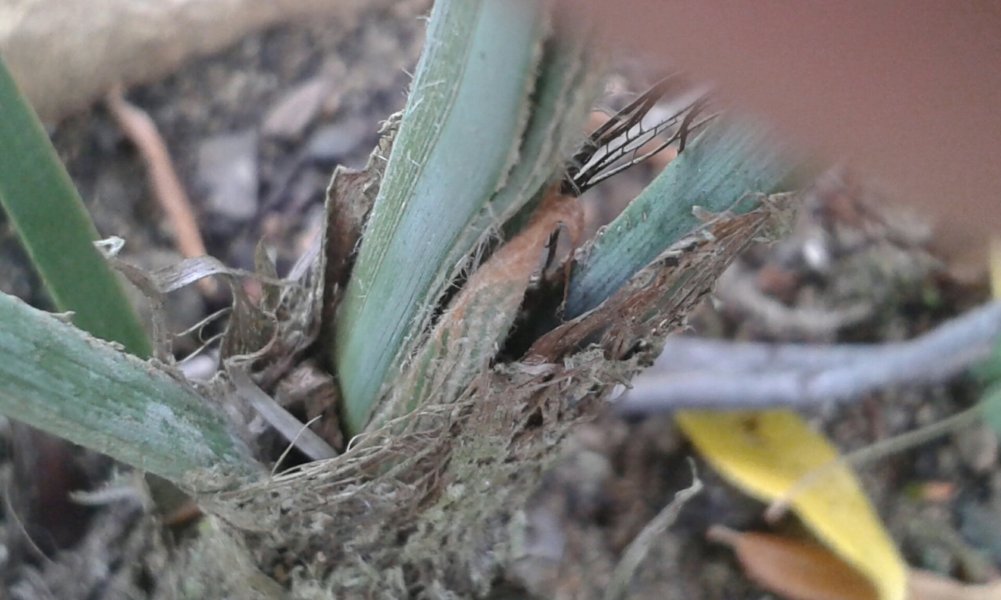20150611_144127_resized_1.jpg