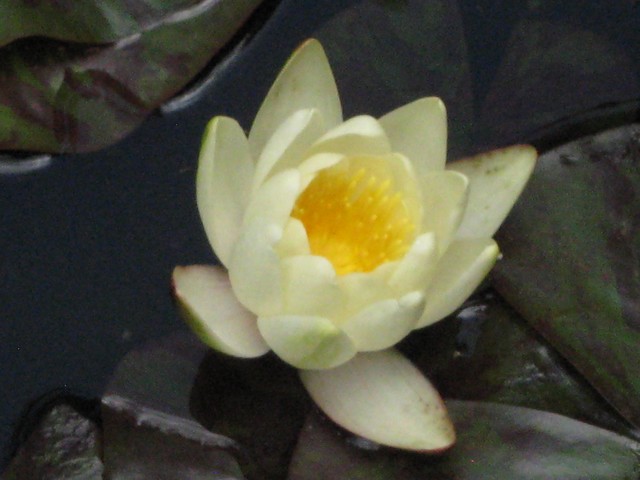 Photo 732.jpg