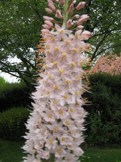 Photo.jpg