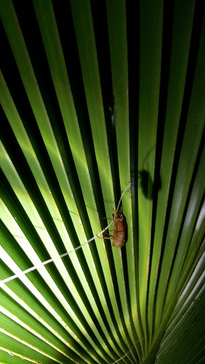 20150617_222606.jpg