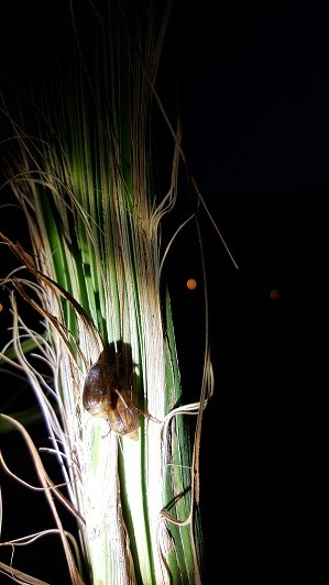20150617_222631.jpg