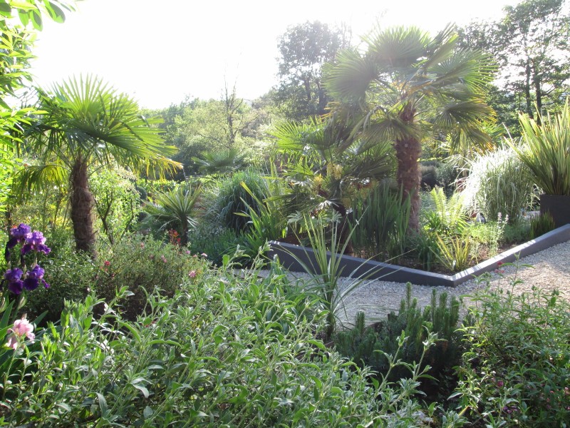 jardin mai 2015 006 (800x600).jpg