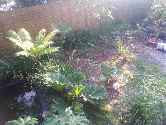 20150620_205040.jpg