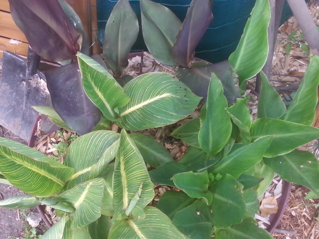20150623_195159.jpg