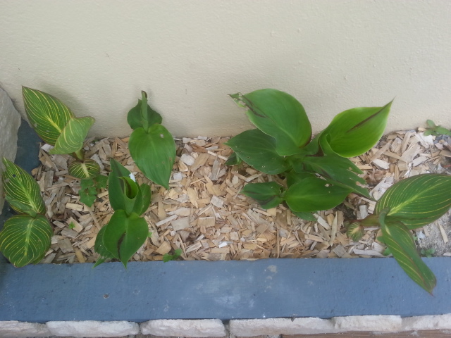 20150623_195326.jpg