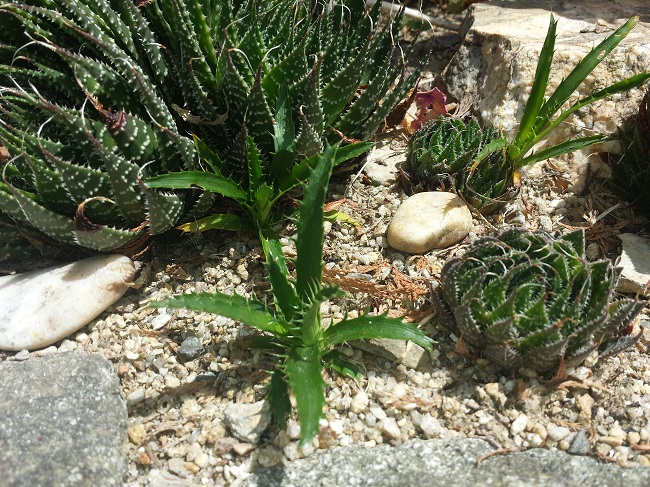 20150628_125915.jpg