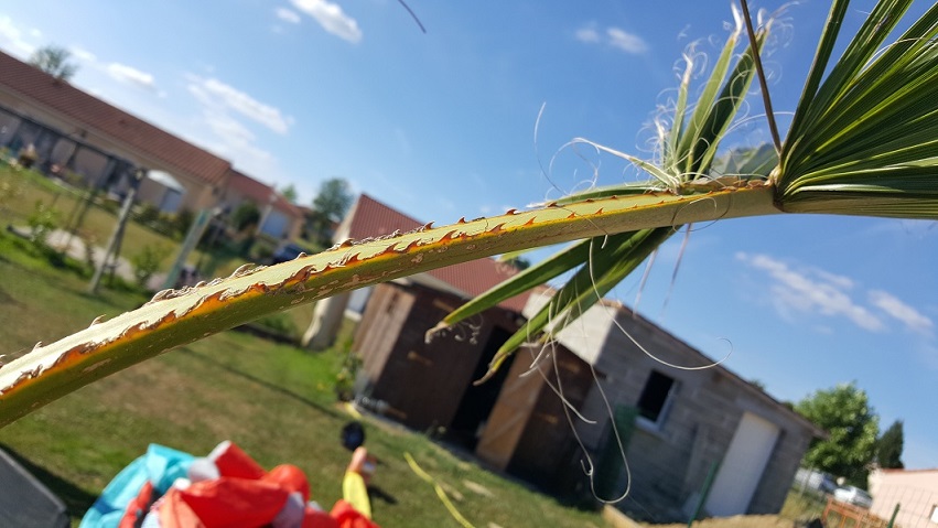 20150628_183927.jpg