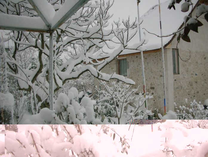 neige décembre 2010.jpg