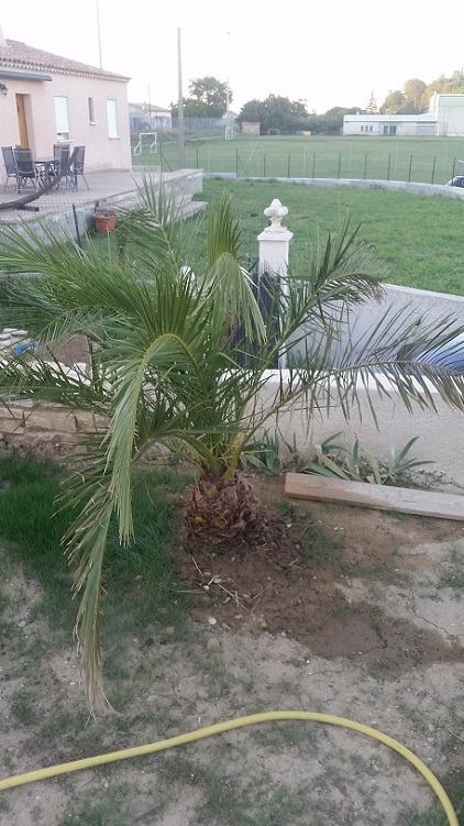 20150628_210315.jpg