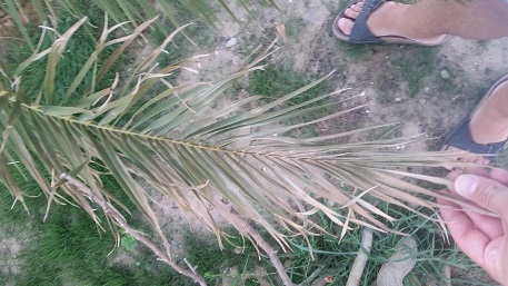 20150628_210341.jpg