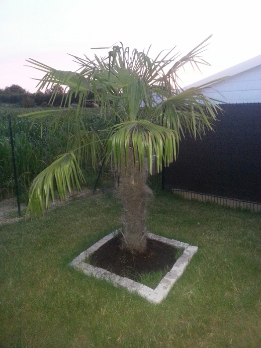 20150629_220311.jpg