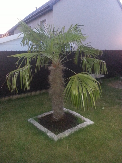 20150629_220321.jpg