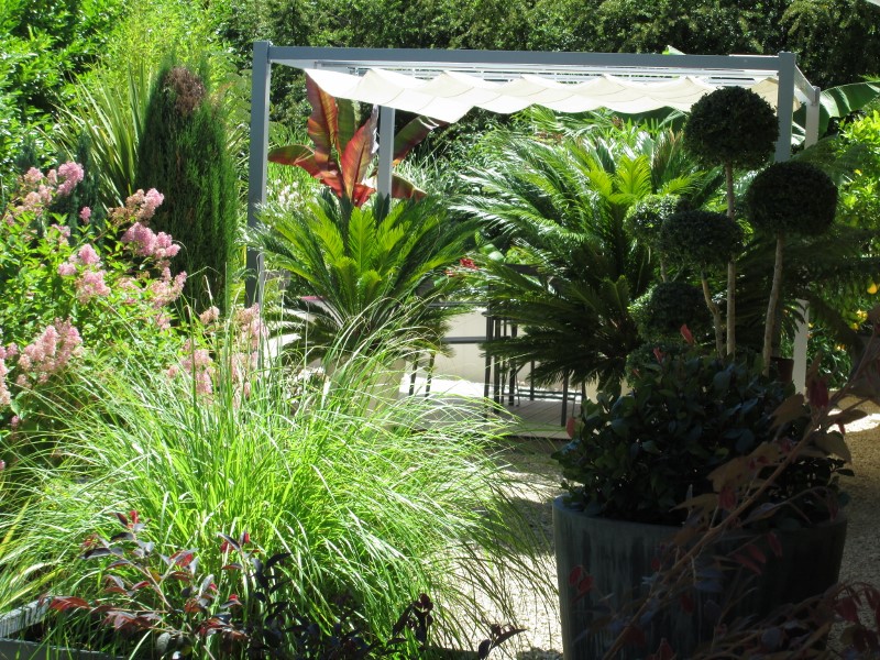 jardin juin 2015 058 (800x600).jpg