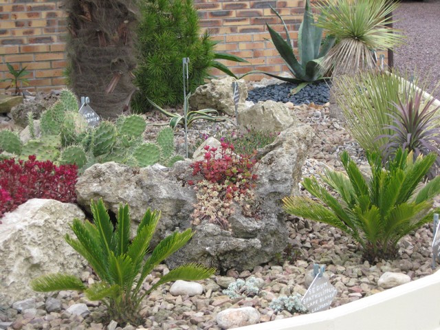 Photo 755.jpg