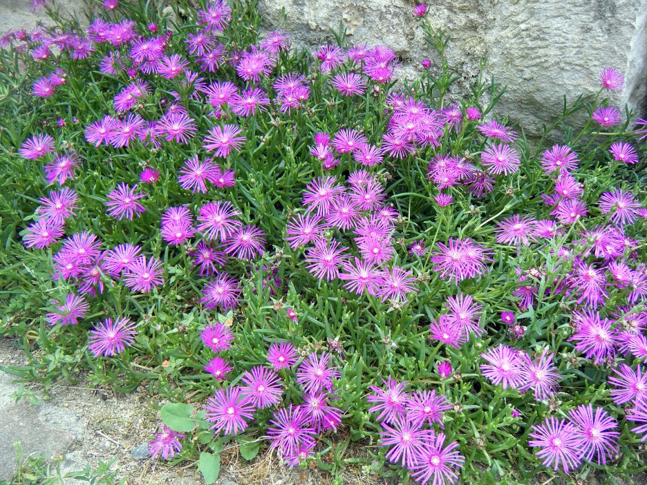 DSCF3160.JPG