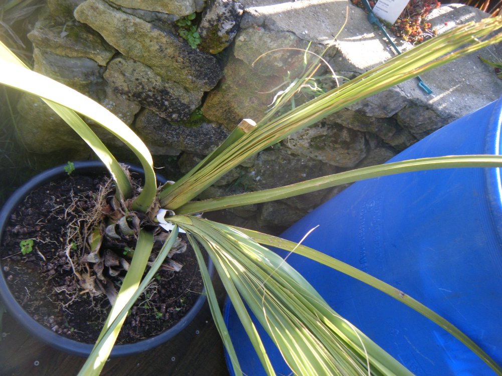 DSCF1791.JPG
