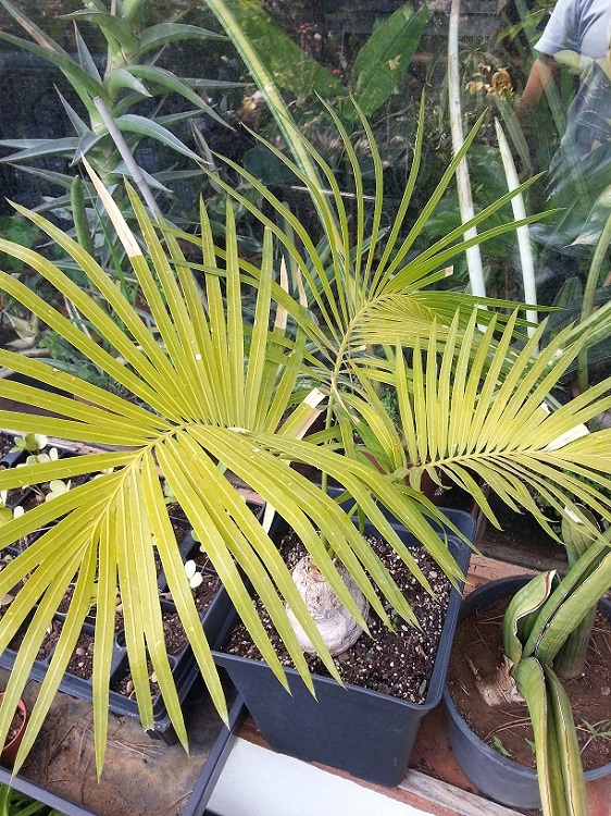 20150703_154837.jpg