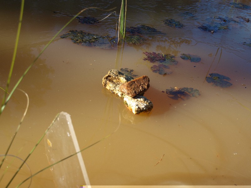 Un peu de glace sur le bassin.