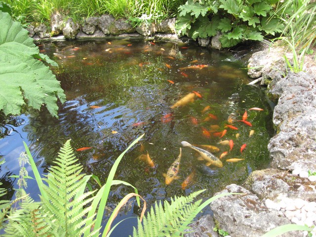 Photo 788.jpg