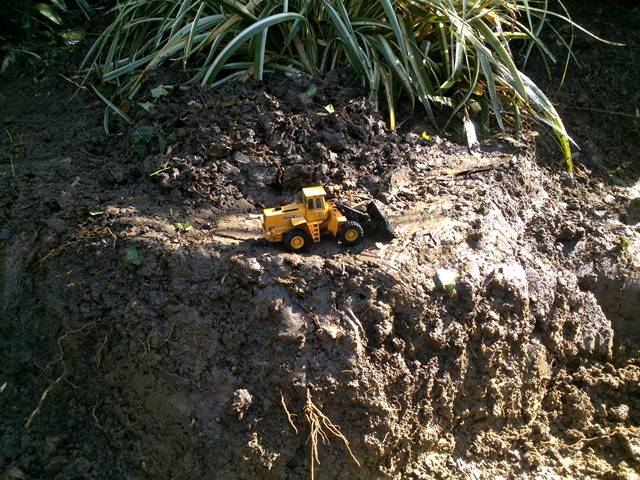 DSC_0399.jpg