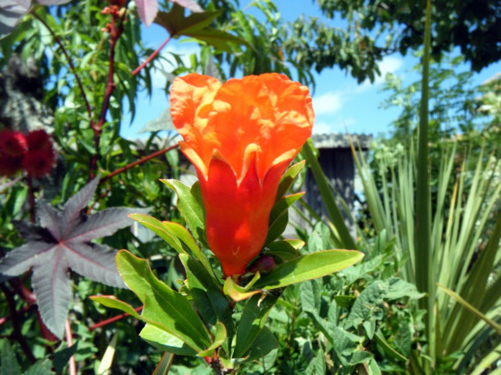 DSCF3204.JPG