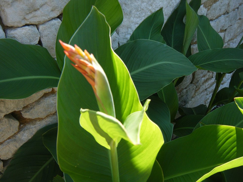 DSCF3224.JPG