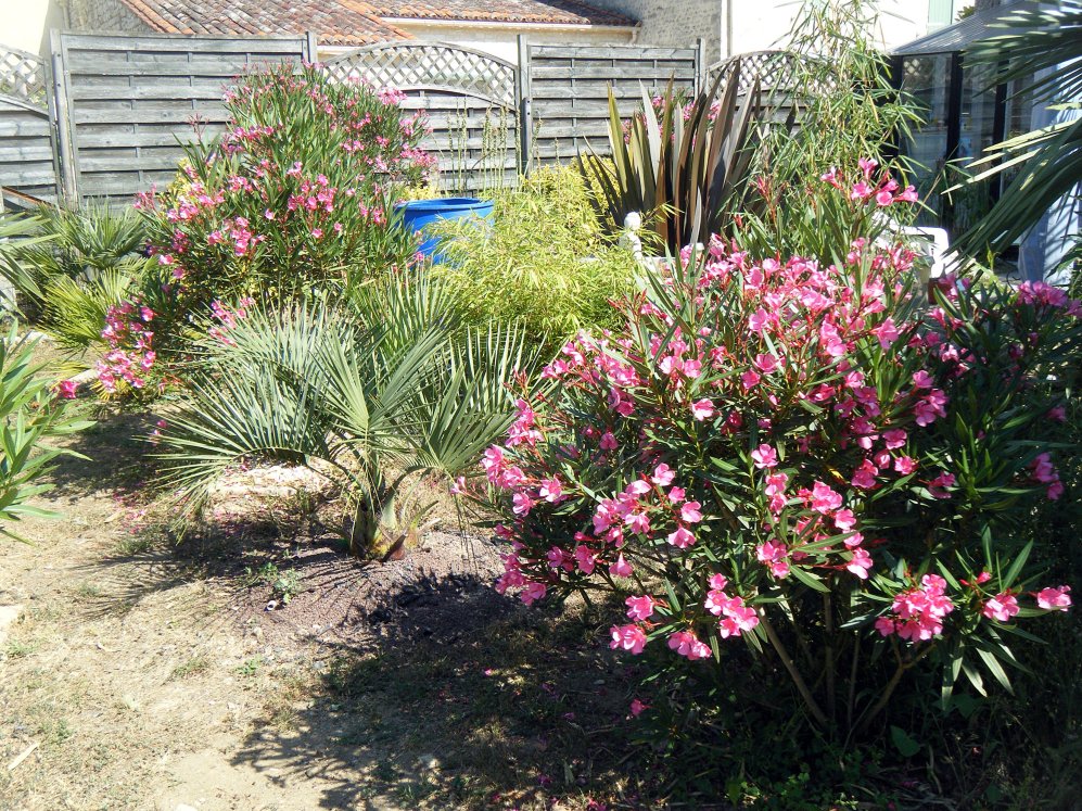 DSCF3211.JPG