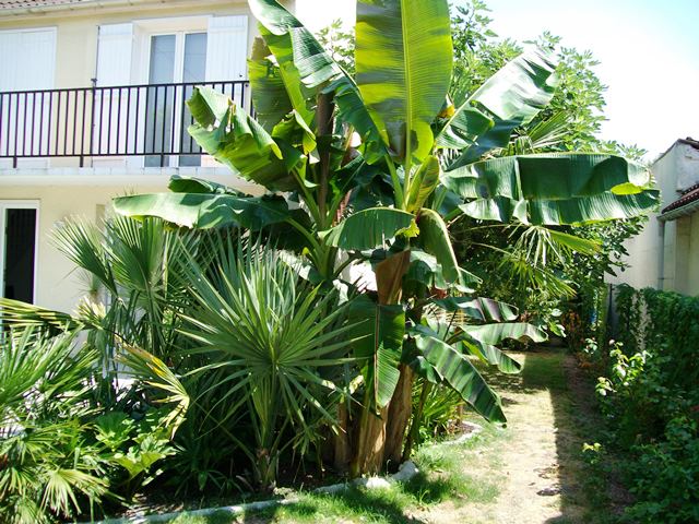 juillet 20151.jpg