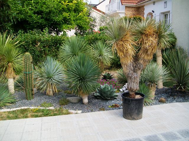 juillet 20152.jpg