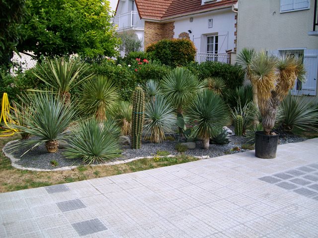 juillet 20153.jpg
