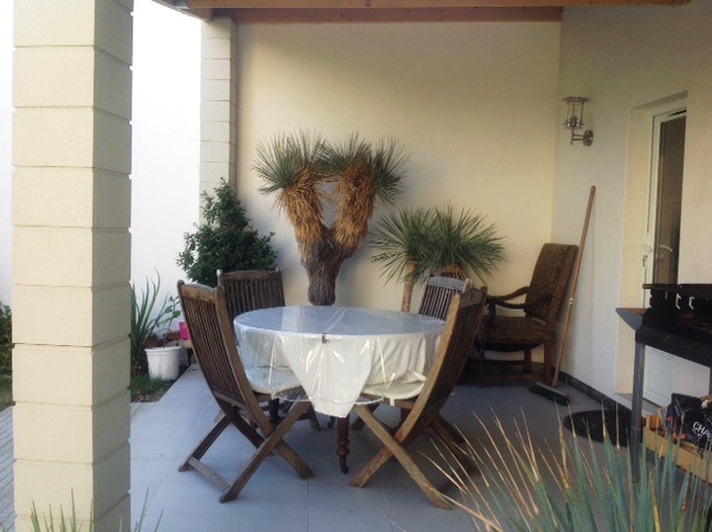 yucca elata 3.jpg